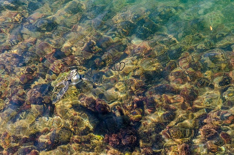 Ilha privativa à venda em Angra dos Reis