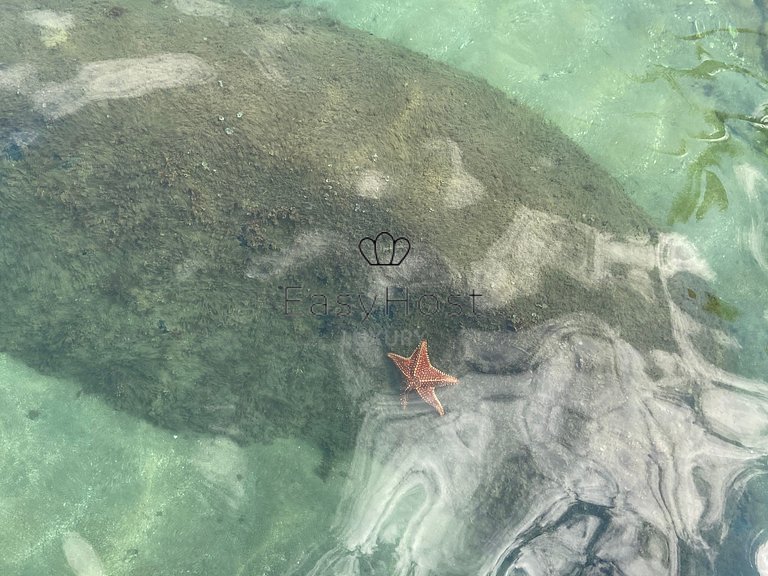 Aluguel de casa com piscina em Angra dos Reis