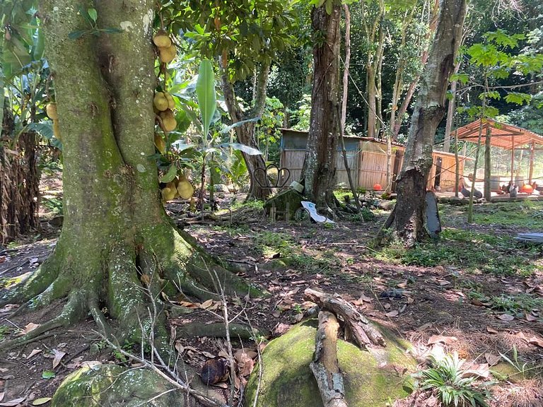 Terreno em Angra dos Reis